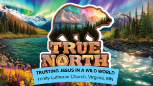 Image of Trinity VBS' poster.